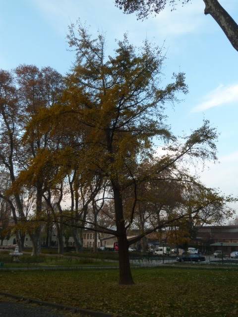 L1020698.jpg