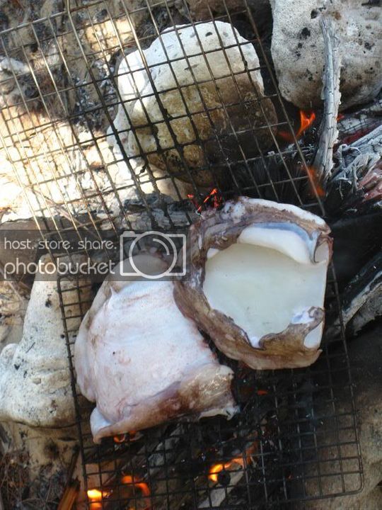IMG_8810Medium.jpg
