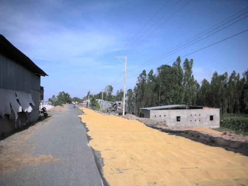 DSCN2318.jpg