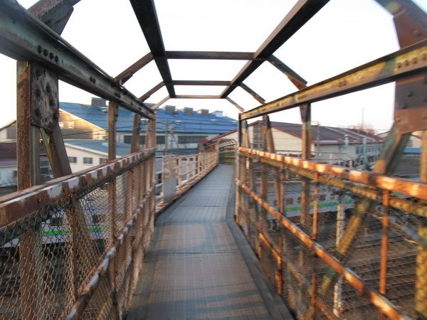 IMG_3802_resize.jpg