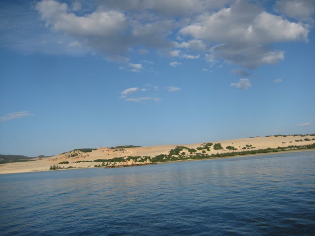 IMG_0308.jpg