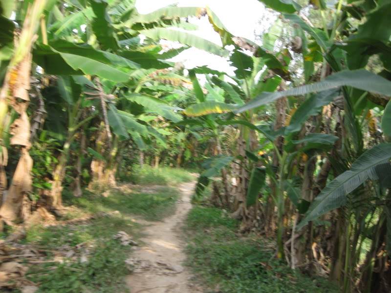 DongThapTET2011481.jpg