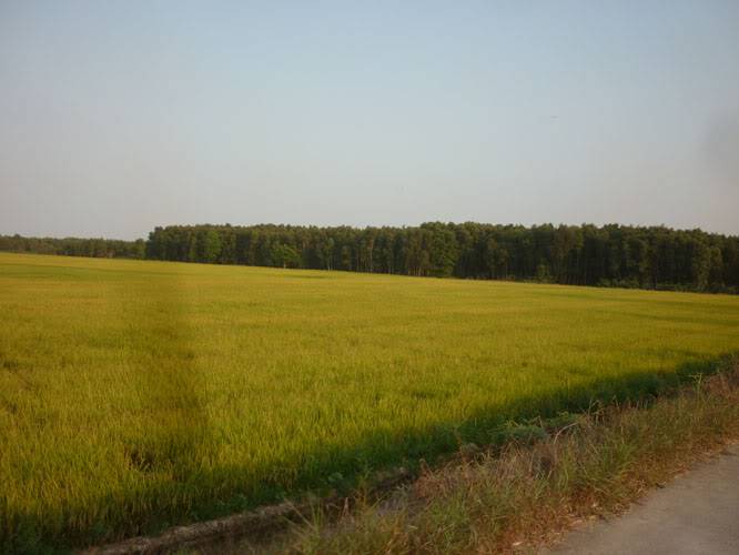 P1220102.jpg