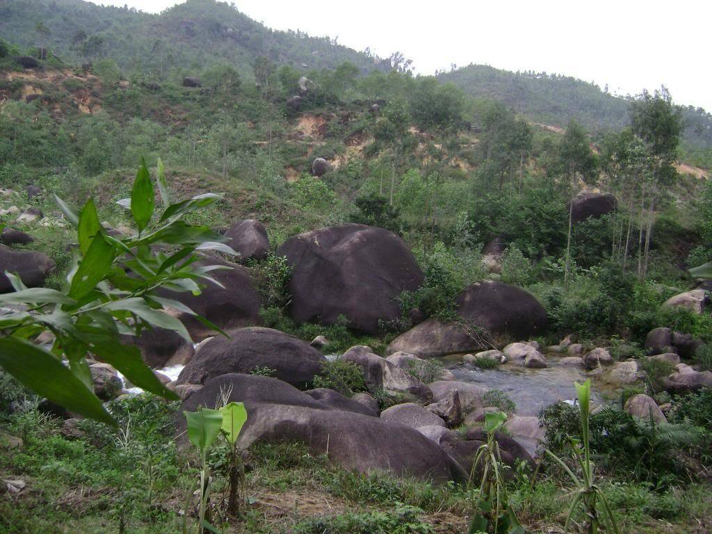 DSC03434.jpg