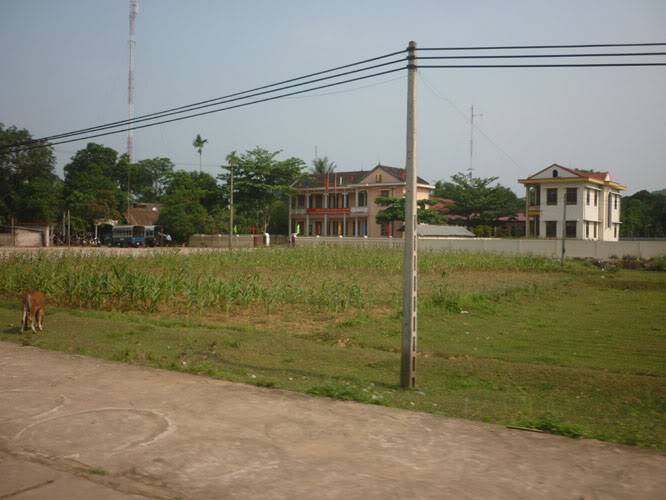 P1290141.jpg