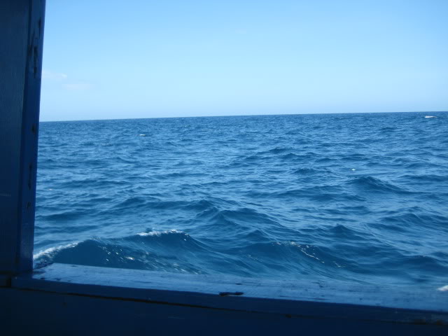 IMG_0297.jpg