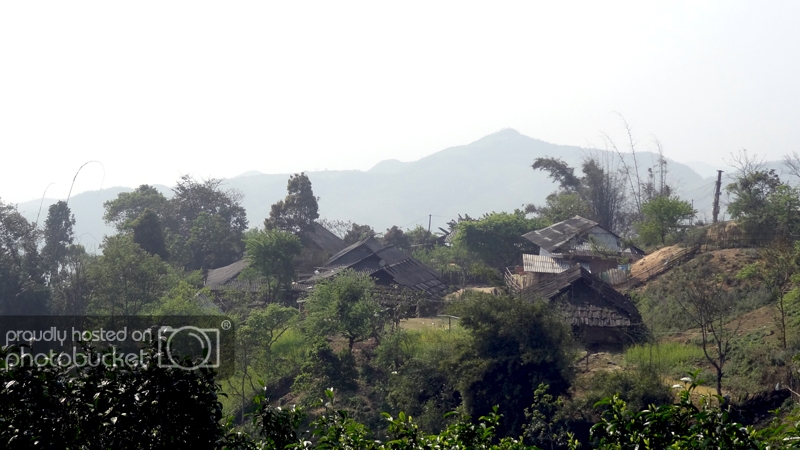 DSC09393_zps3af32f9d.jpg