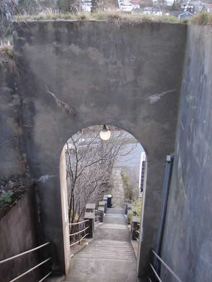 DSC06256.jpg