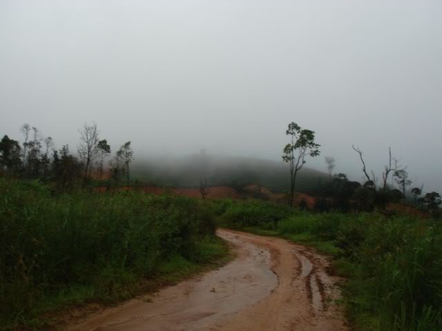 DSC08601.jpg