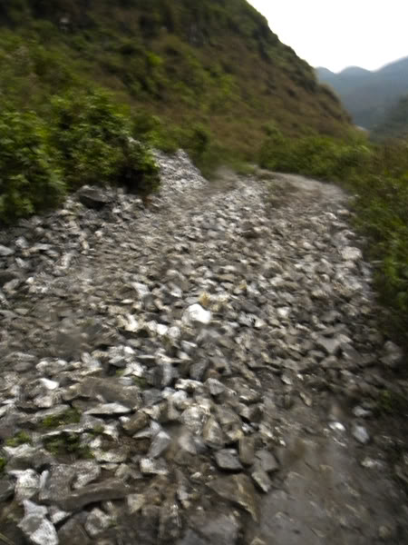 DSCN7304.jpg