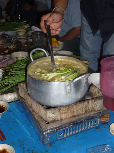 P1000768-1.jpg