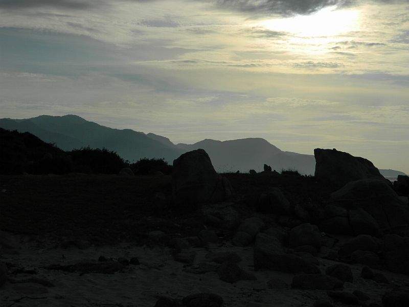 DSCN4375_203.jpg