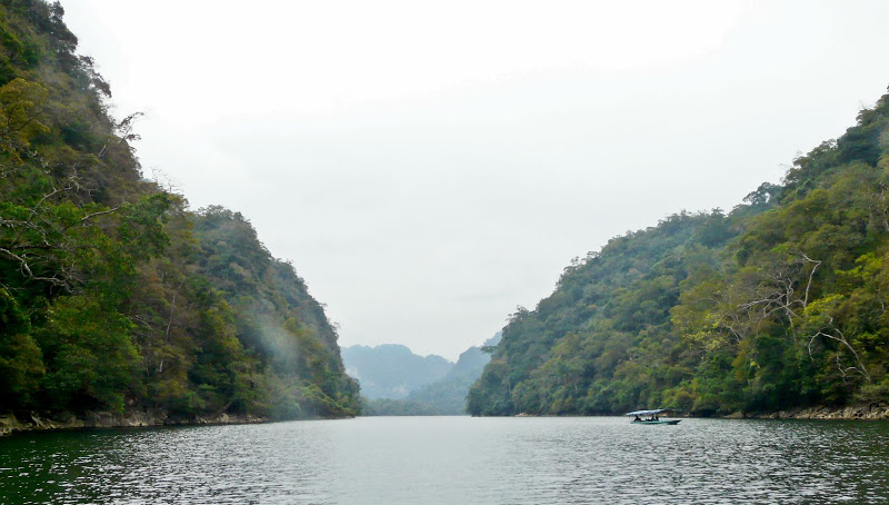 P1050591.JPG