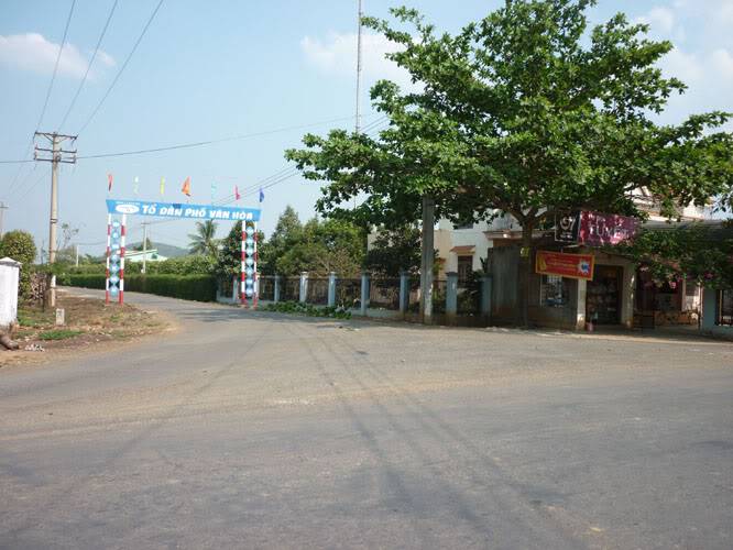 P1010687-1.jpg
