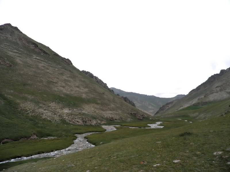 P7293308.jpg