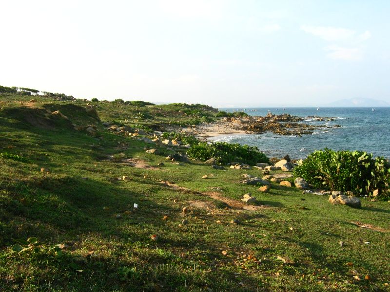 IMG_4525.jpg