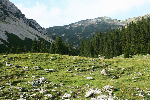 3963746722_32b4738e32.jpg