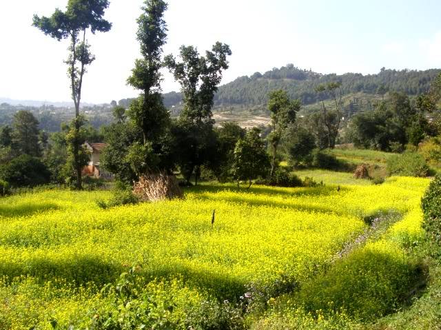 PB030752.jpg