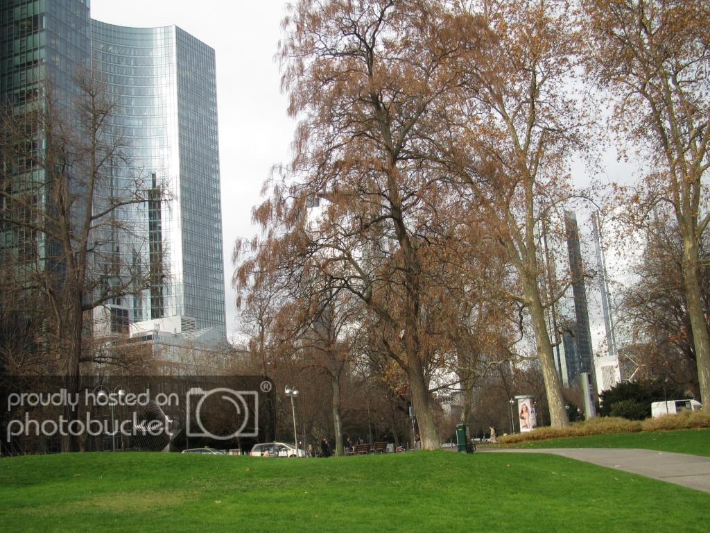 IMG_8510_zps4d6e7190.jpg