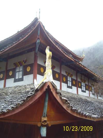 hoanglong102.jpg