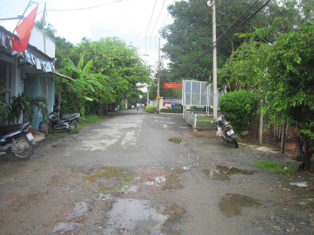 QL55QL28022.jpg