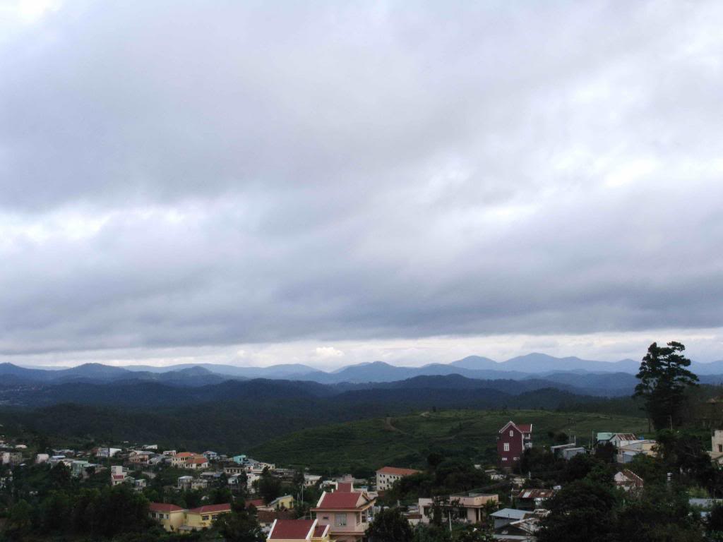 _MG_2739.jpg
