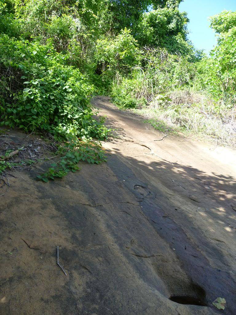 P1070304_zpsda83f081.jpg