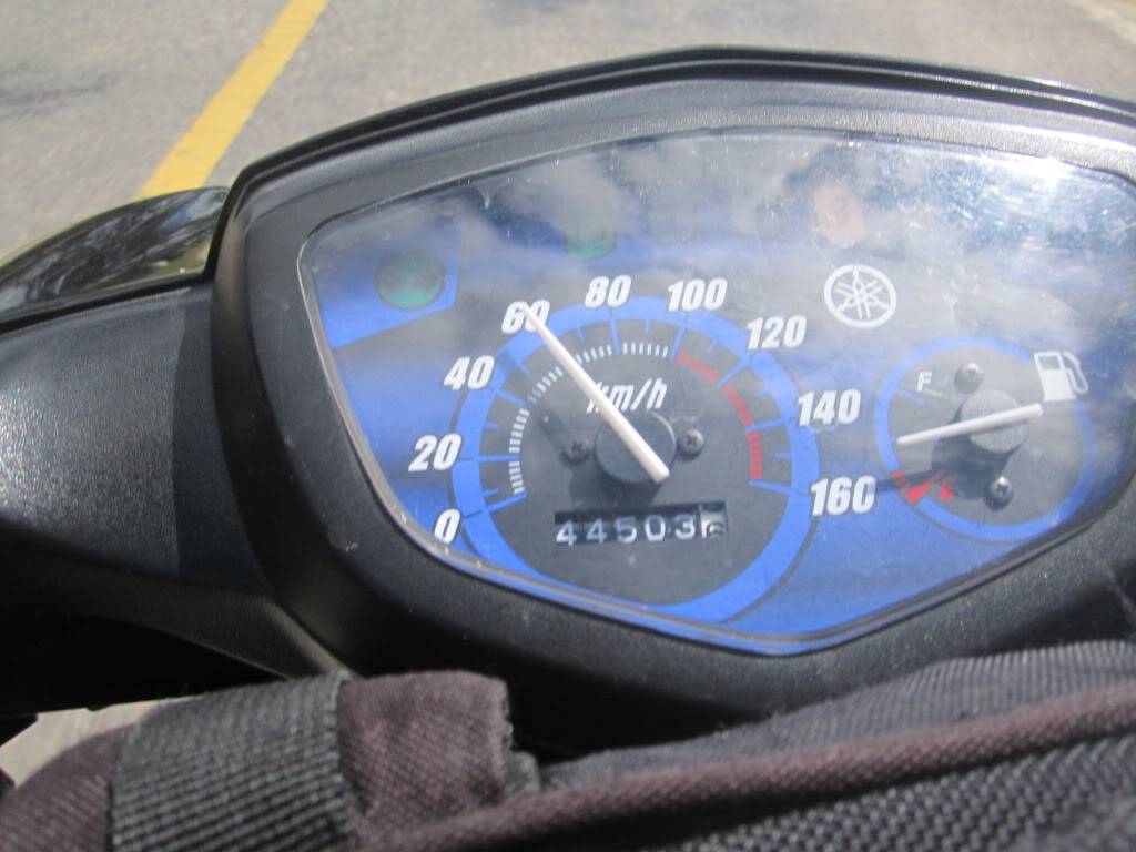 IMG_4955.jpg