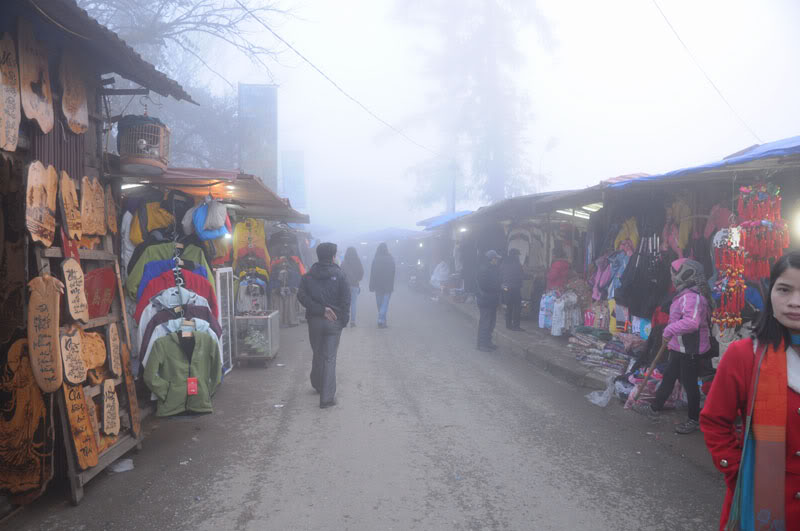 DSC_2433.jpg
