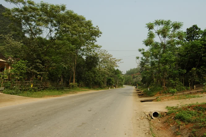 DSC_3134.jpg
