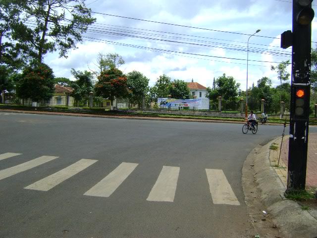 DSC01290.jpg