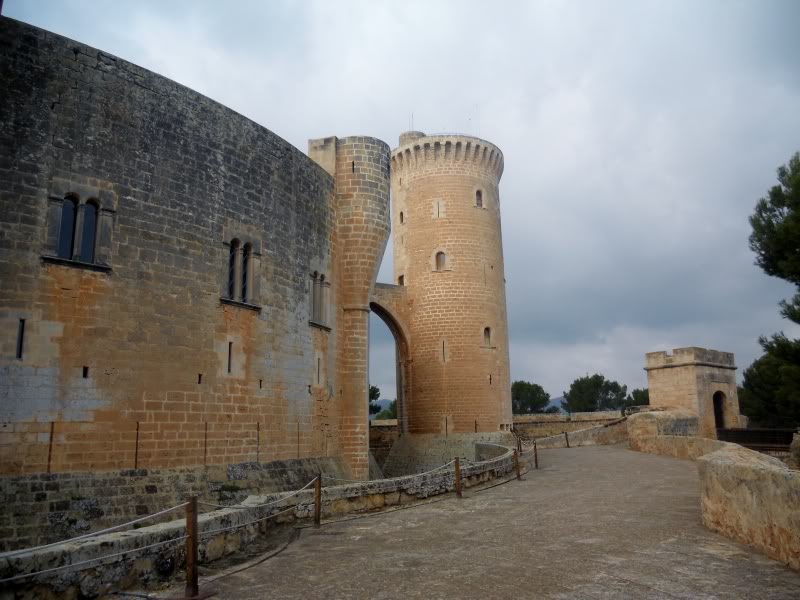 DSCN6631.jpg