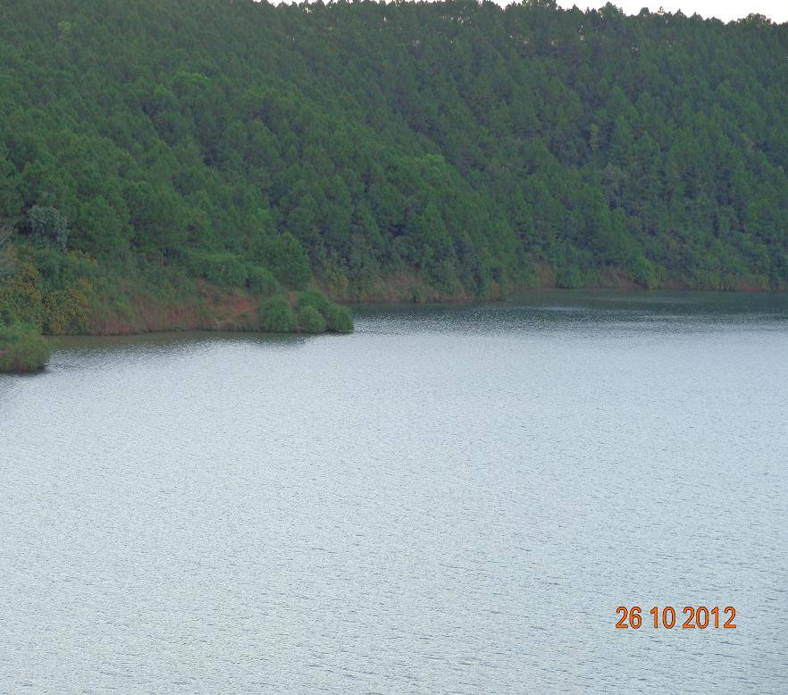 DSC00682R.jpg