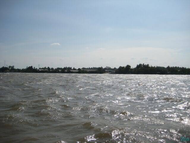 IMG_1220.jpg