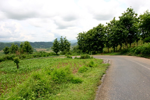 3764437609_289580b604.jpg