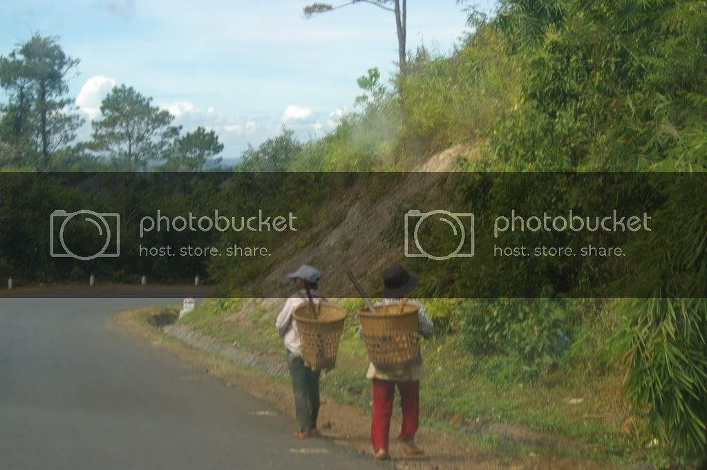 IMGP0154.jpg