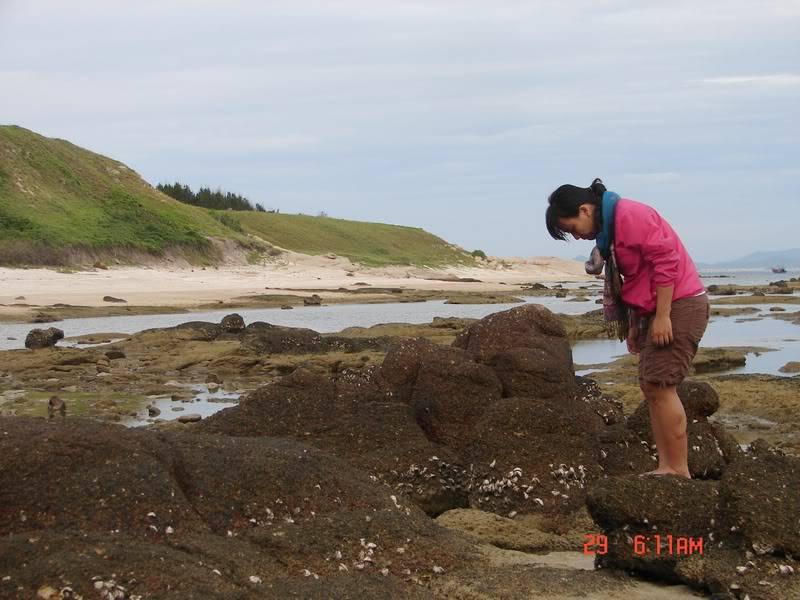 DSC00844.jpg