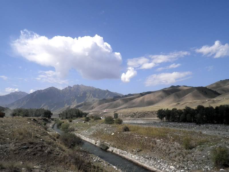 P9021862.jpg