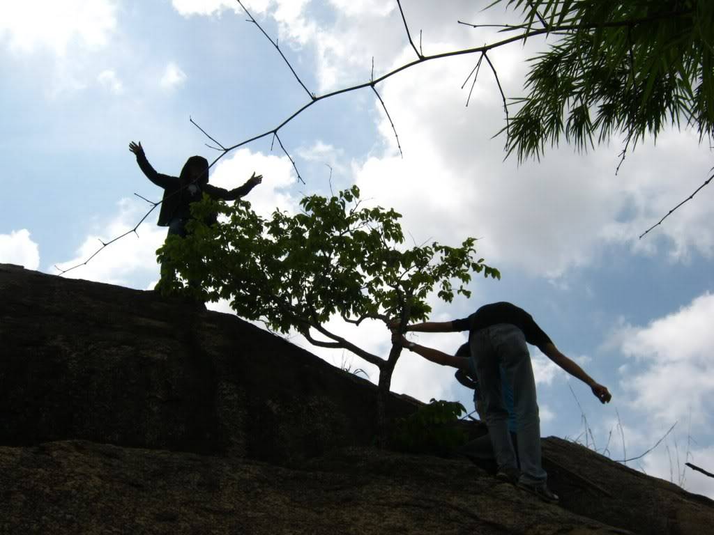 IMG_7083.jpg
