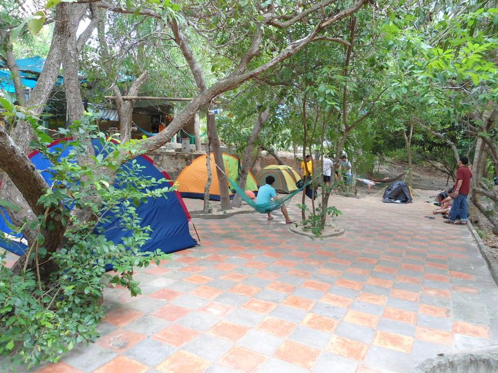 DSC07136.jpg