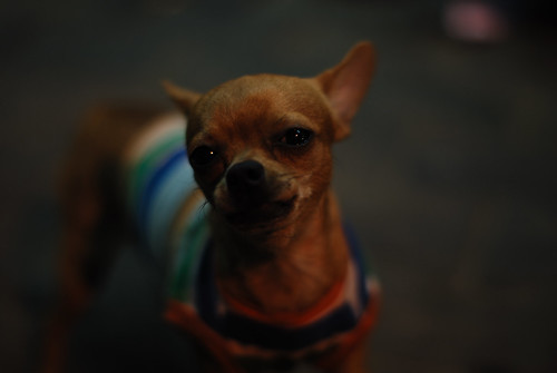 2214800552_f803787883.jpg