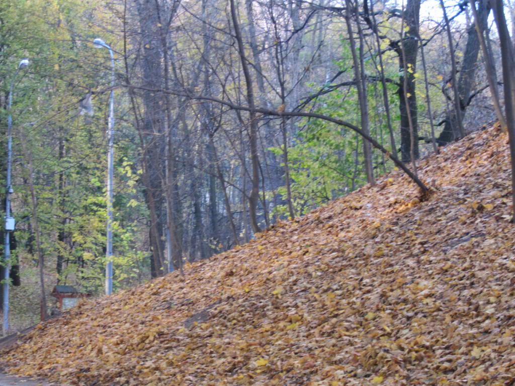 IMG_6587_zps829bd206.jpg