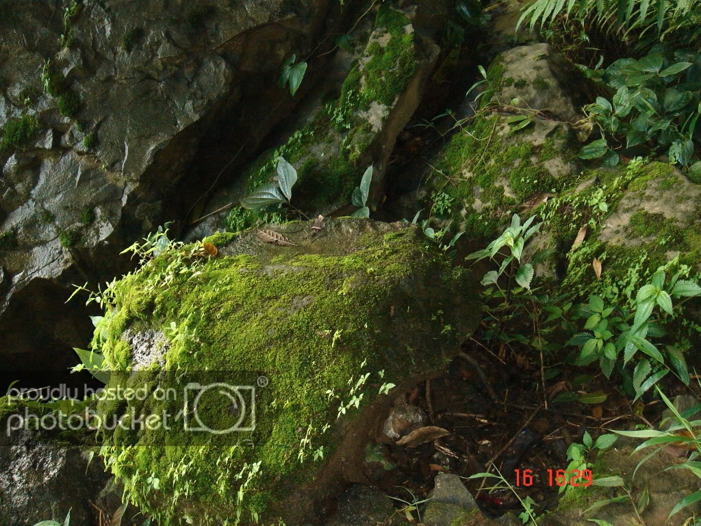 DSC01246.jpg