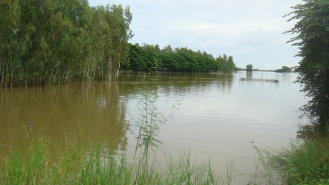 DSC05711.jpg