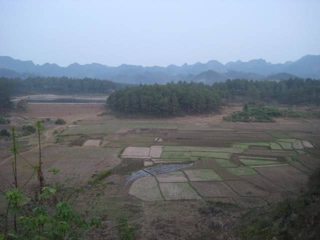 IMG_0179.jpg