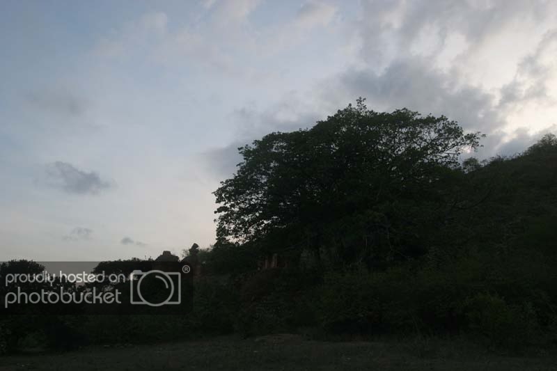 IMG_9850.jpg