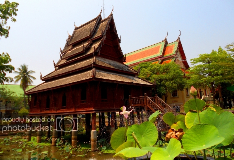 DSCN7821-1.jpg