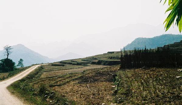 000028-3.jpg
