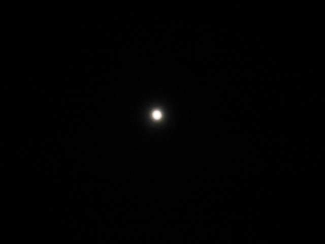 IMG_6698.jpg