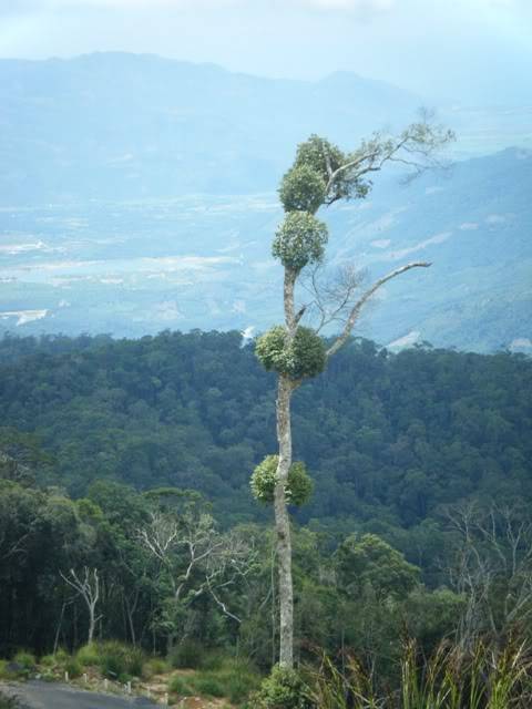DSCF0531.jpg
